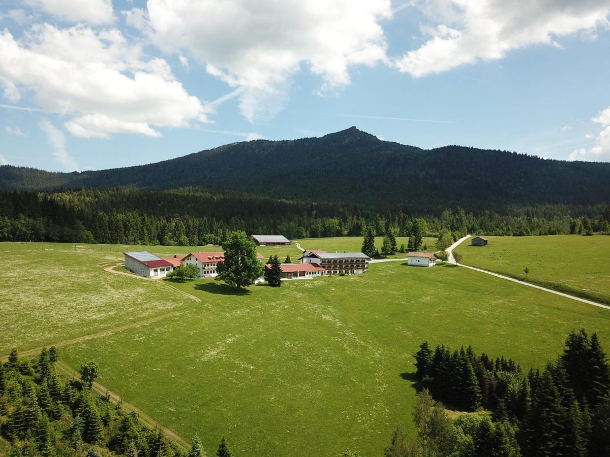 Hotel Osserhotel Garni