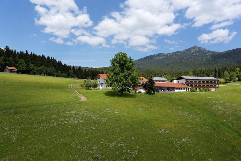 Отель Osserhotel - B&B Am Osser 3*