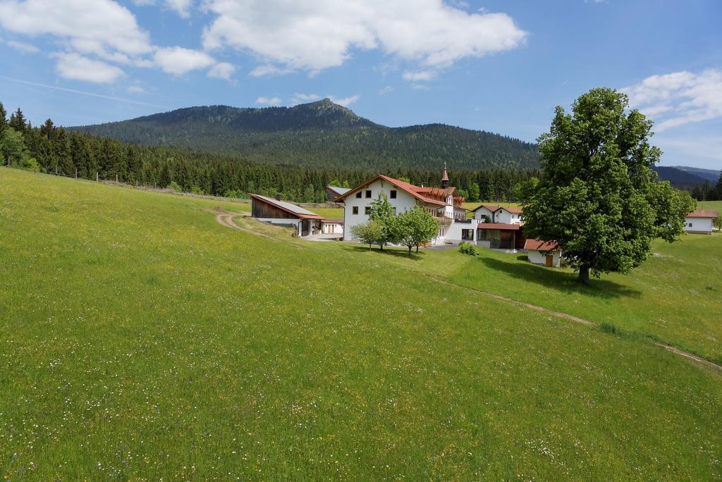 Osserhotel - B&B Am Osser 3* Лоберг