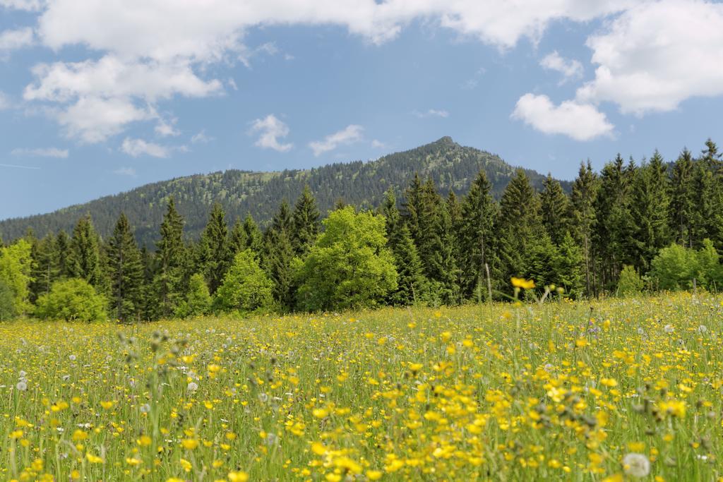 Osserhotel Garni Lohberg