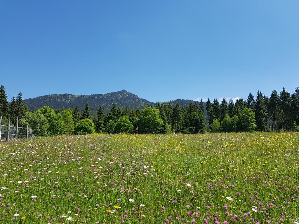 Osserhotel Garni Hotel