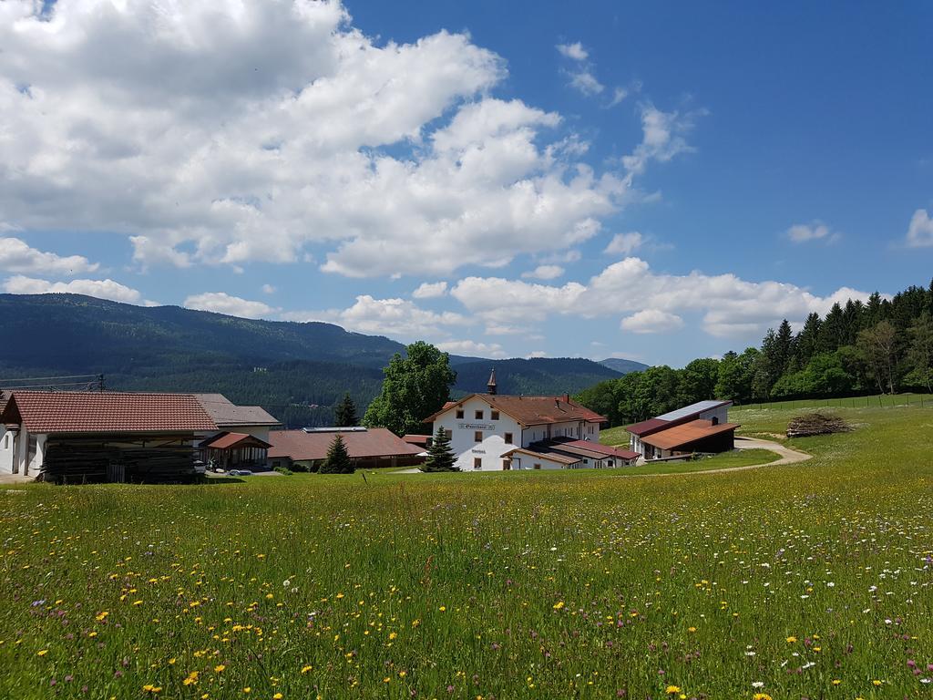 Osserhotel Garni Lohberg